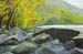 New River